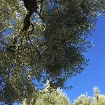 Casa L'ulivo Ponte a Evola