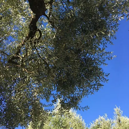 Casa L'ulivo Ponte a Evola